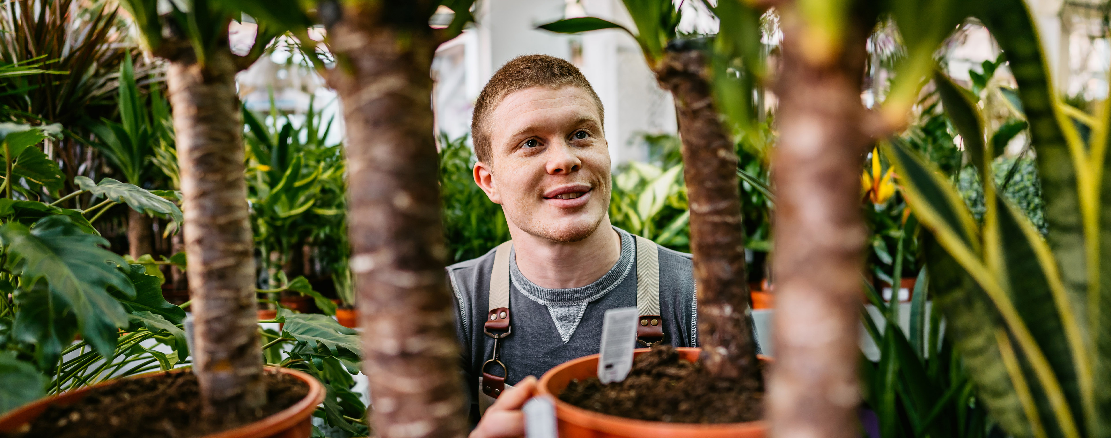 Medewerker Potplanten