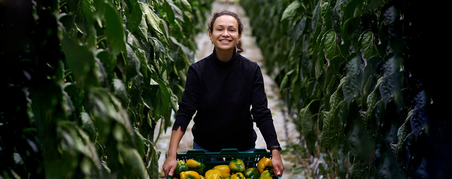 Medewerker Paprika's