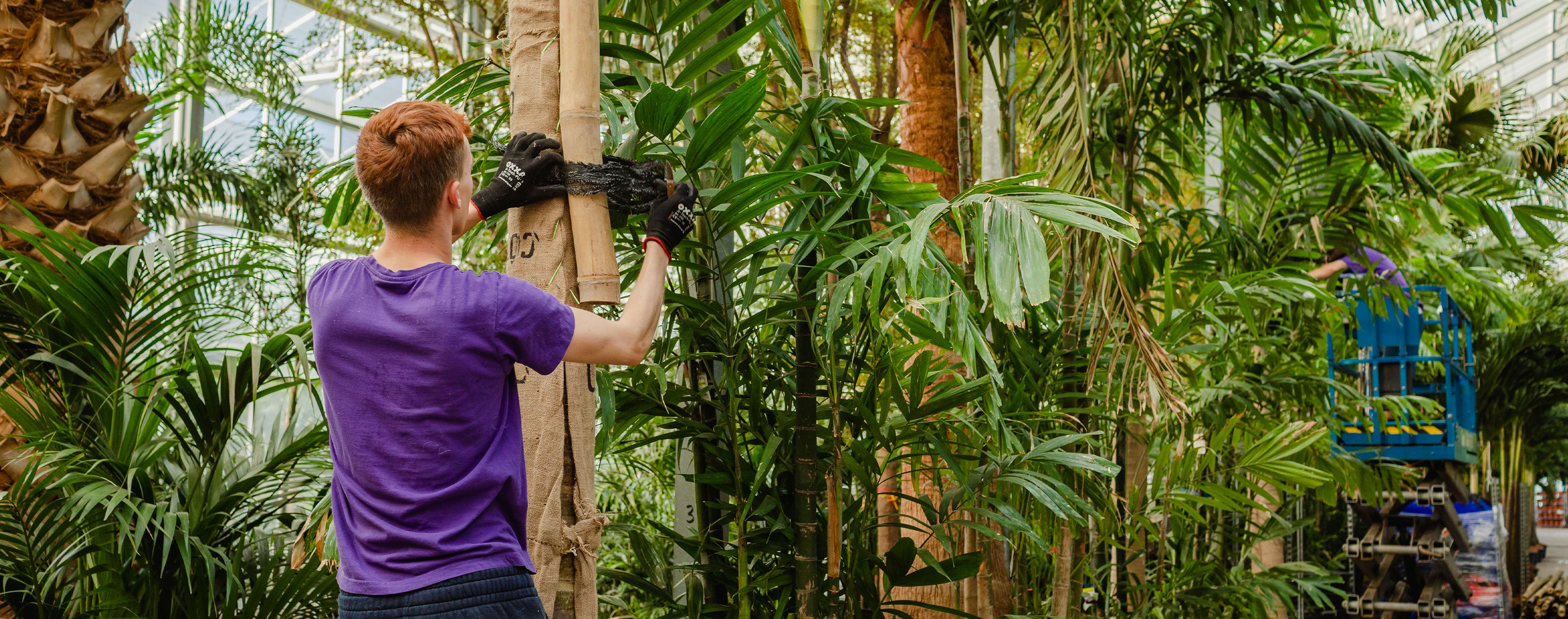 Medewerker Tropische Planten