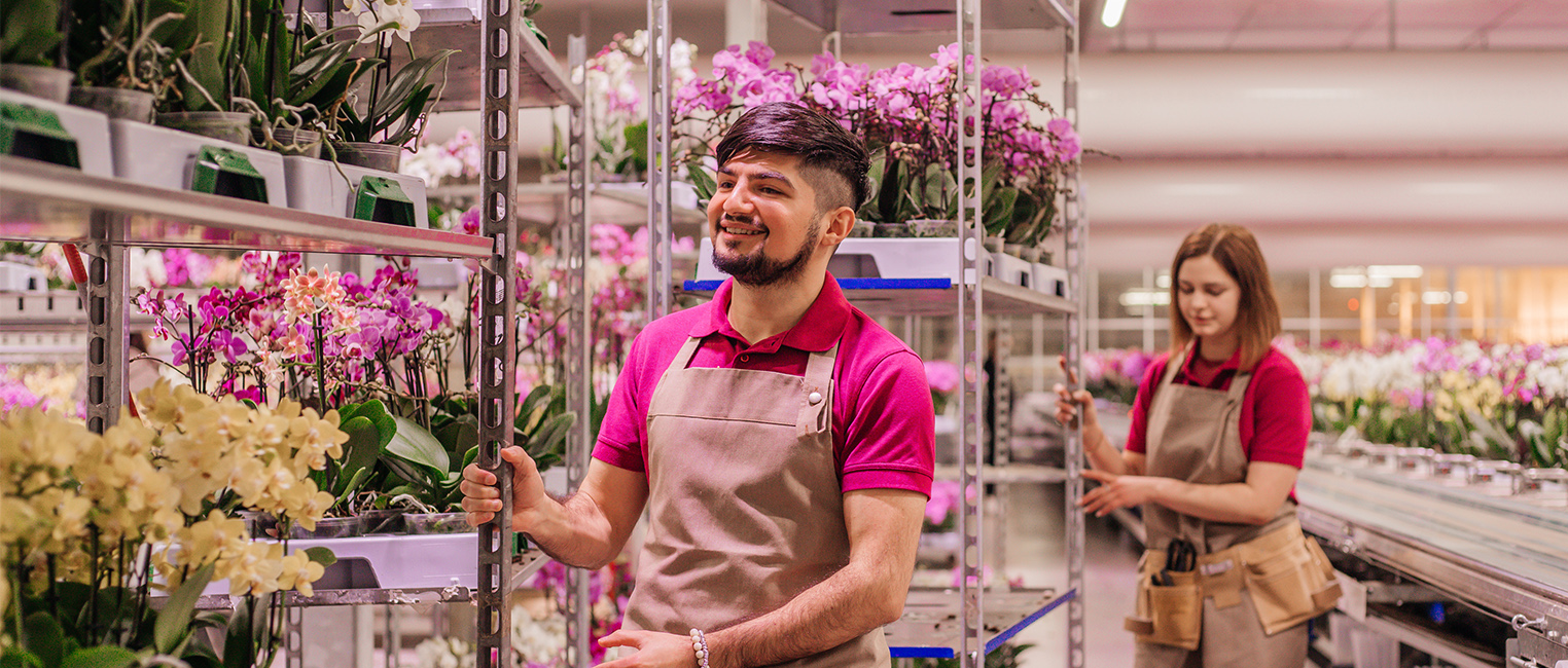 Team Leader Orchids
