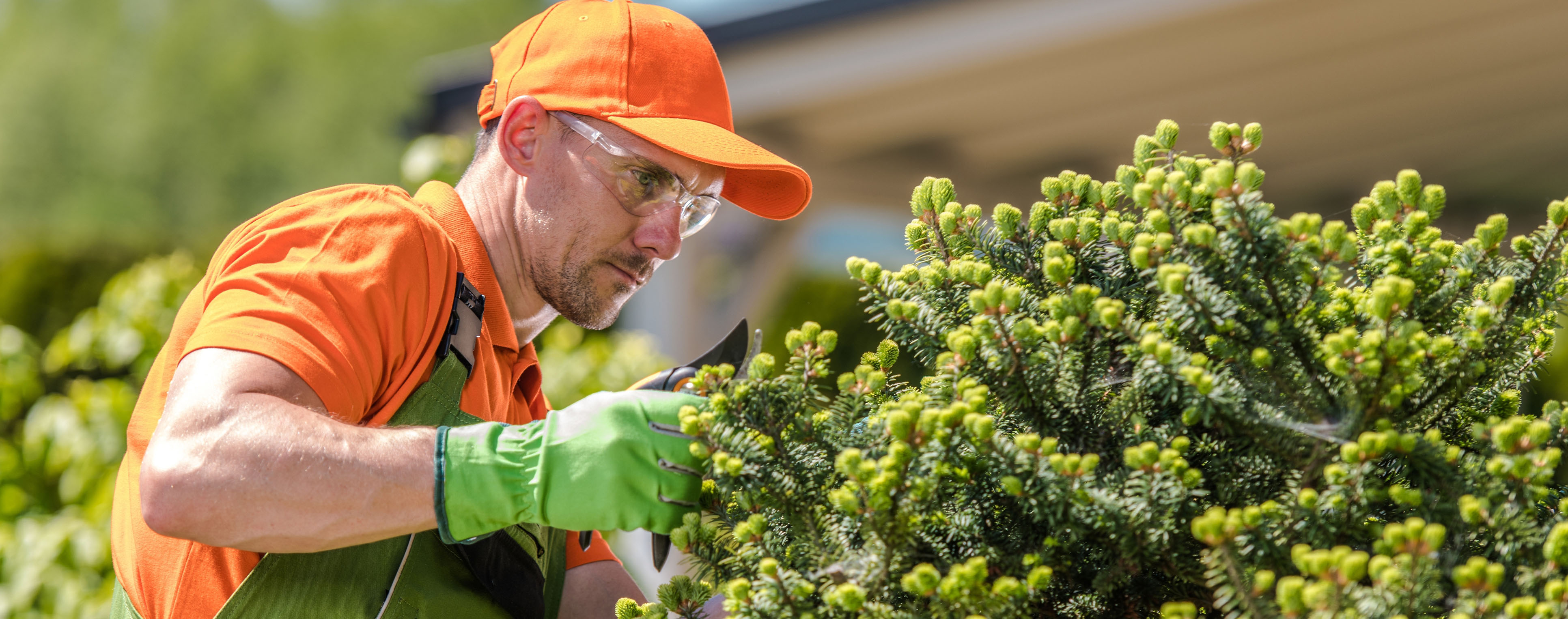 Tree Nursery Employee