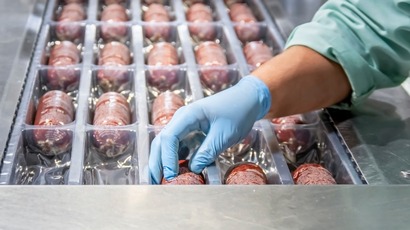 Vejetaryen Atıştırmalık &Uuml;retimi ve Paketleme